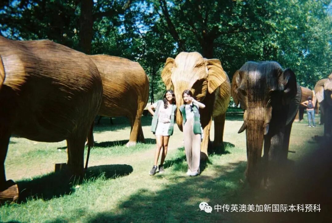 中传1+3师姐开挂,从中传预科到皇艺硕士