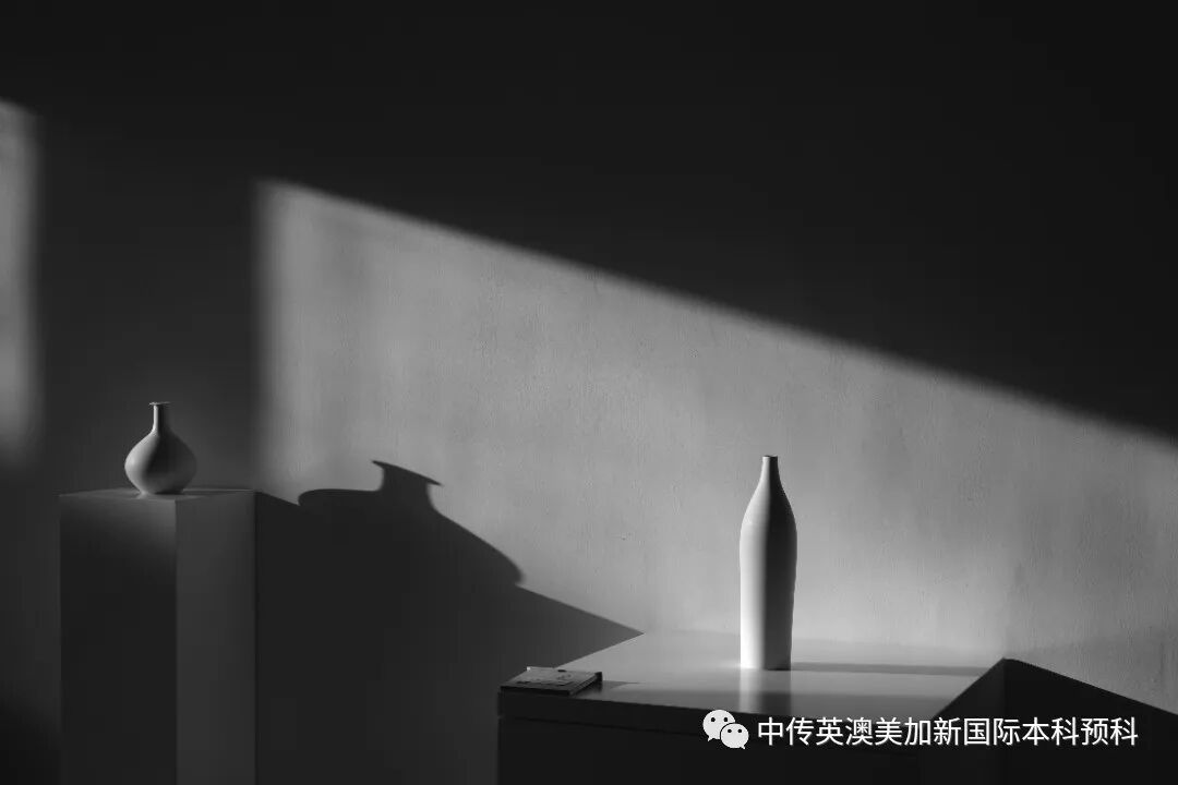 “艺·述”--摄影专业：2021级1+3英澳美加新国际预科毕业作品展