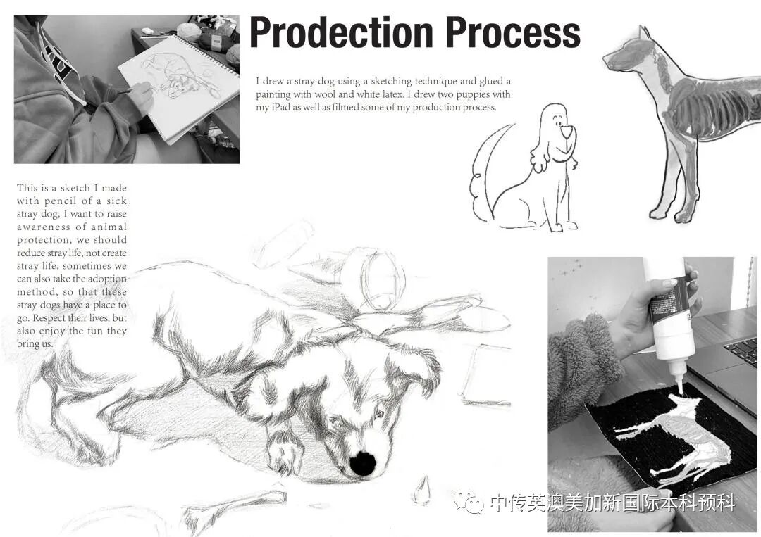 “艺·述”--插画专业：2021级1+3英澳美加新国际预科毕业作品展