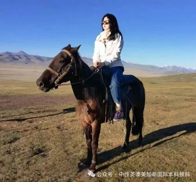 1+3悉尼大学培养方向｜中国传媒大学英澳美加新国际本科名校项目招生简章