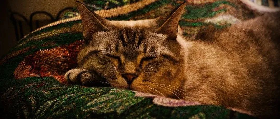 &ldquo;艺&middot;述&rdquo;--摄影专业：2021级1+3英澳美加新国际预科毕业作品展